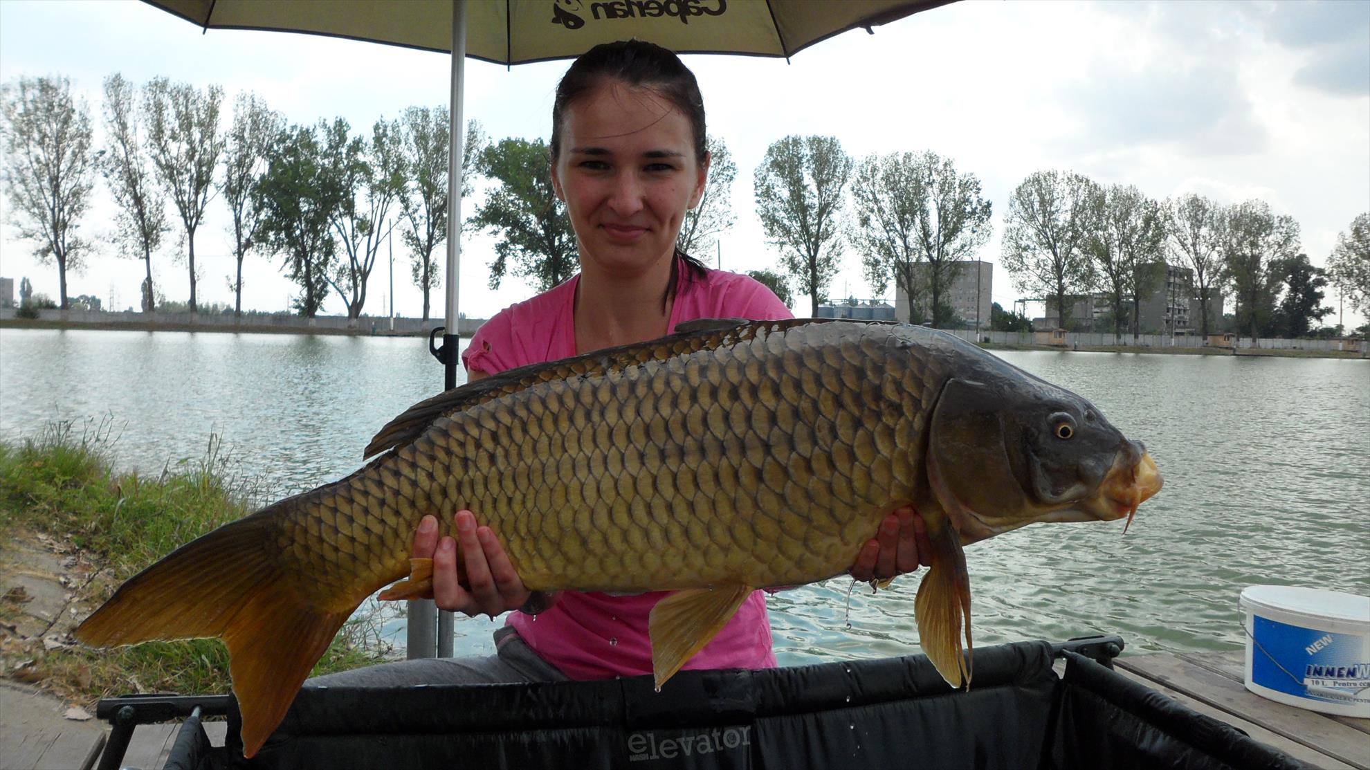 Pleasa1 21 - 22 septembrie 2014 - Crap comun 9.02kg prins la feeder de prietena mea